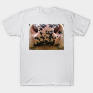 cow mouth face mask - cow lover gifts - cow face masks funny T-Shirt